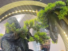 -紫藤园·天目湖大鱼头(南山竹海店)