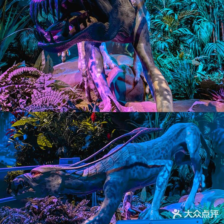 全国首展‼️阿凡达空降成都🧿探索潘多拉星球