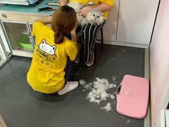 -十年猫舍·猫咪专门店(普陀店)