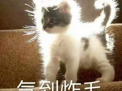 -槟城颠倒博物馆