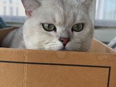 -PETKIT 小佩宠物·低压洗护·美容·寄养(安远店)