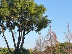 -湖泉半山温泉(湖泉生态园)