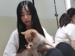 -逗柴咖啡屋·狗咖猫咖宠物桌游