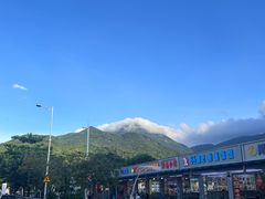 -杨梅坑