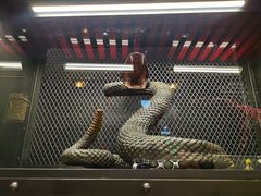 -drivepro(三里屯店)