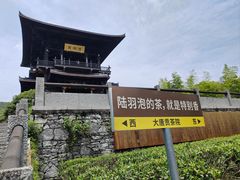 -大唐贡茶院