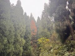 -太阳湾风景区