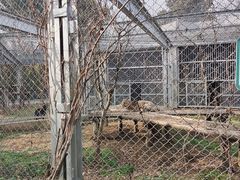 -合肥野生动物园