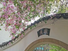 -深圳国际园林花卉博览园