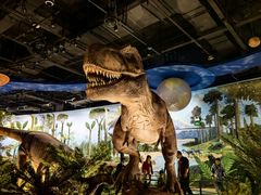 -陕西自然博物馆