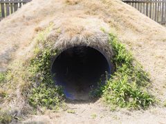 -前小桔亲子创意农场·草莓采摘·露营烧烤