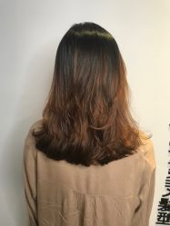 -藤野造型
