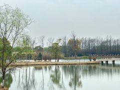 -苏州太湖国家湿地公园