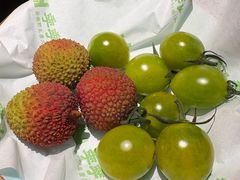-季季山·云南野生菌火锅(上海首店)