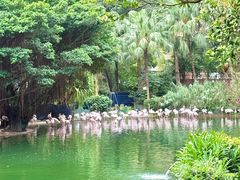 -九龙公园