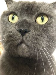 -SWAROVSKI(燕莎奥特莱斯店)