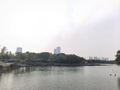 -滨湖塘西河公园