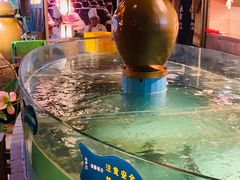 -坛宗剁椒鱼头(河西王府井店)