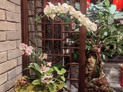 -鸢飞潍坊菜馆(鸢飞大酒店)