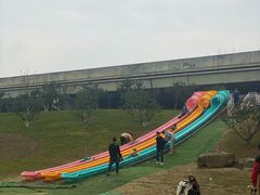 -秀丽东方