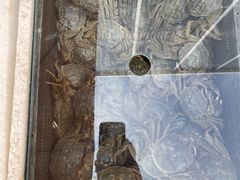 -四道口水产市场