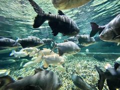 -成都浩海立方海洋公园