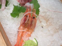 -月龍吟(朝龙汇店)