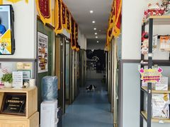 -伟伟宠物医院·瑞派猫友好医院·猫科(光谷店)