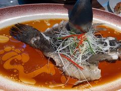 -曼格纳·曼芯馆(杨浦店)