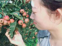 -北戴河集发农业梦想王国