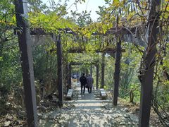 -缥缈峰景区