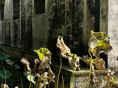 -兰亭风景区