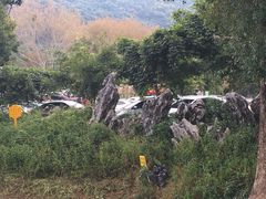 -梧桐山风景名胜区