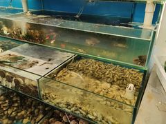-仙螺岛海鲜自助餐厅(总店)