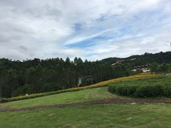 -清远熹乐谷温泉度假酒店