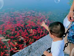 -西海子公园