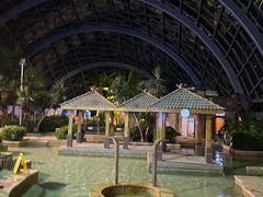 -洪湖悦兮半岛国际温泉度假村
