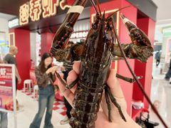 -松雷商业(南岗店)