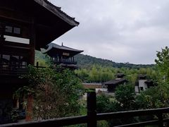 -大唐贡茶院