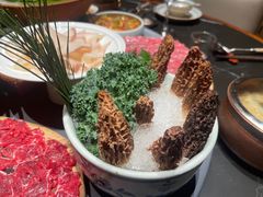 -蘑界·野生菌火锅(深业上城店)