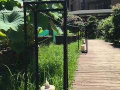 -忆江南·临江鱼馆