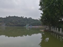 -西樵山风景名胜区-天湖公园