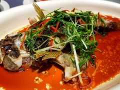 笋壳鱼-宣和苑(华侨新村店)