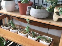 -蜜蜂小象·榴莲千层蛋糕(时代汇11栋店)