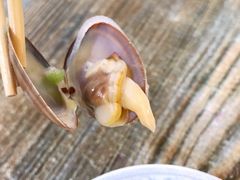 -小叶大馅饺子城