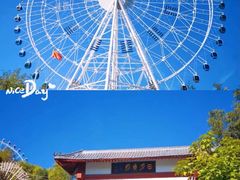 -特克斯八卦城
