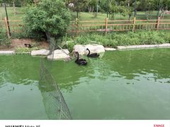 -燕郊植物园