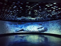 -同济大学四平路校区深海探索馆