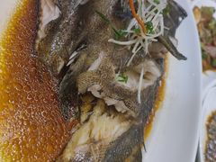 多宝鱼-华盛丰温州大排档(东三环南路店)