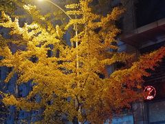 -大连人民广场